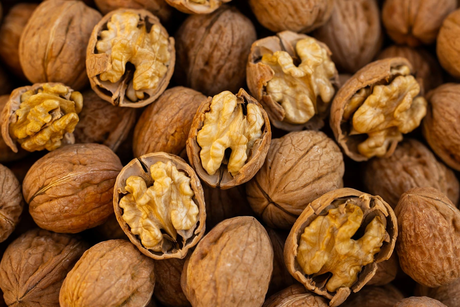 Walnut kernels